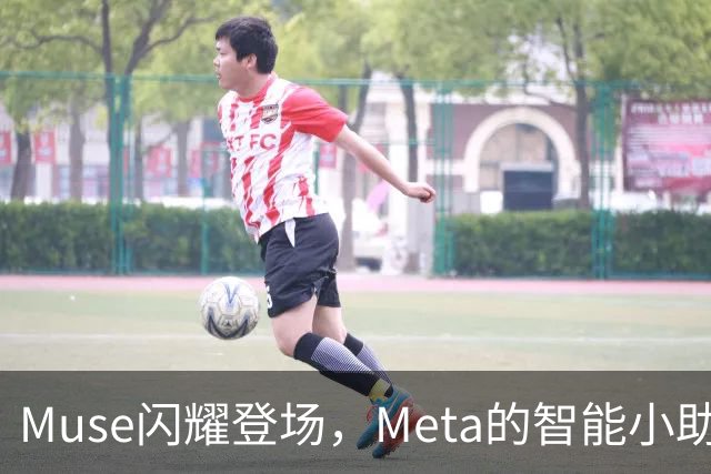 Muse闪耀登场，Meta的智能小助手逆袭成功！